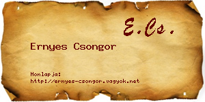 Ernyes Csongor névjegykártya