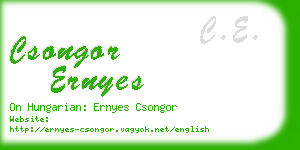 csongor ernyes business card